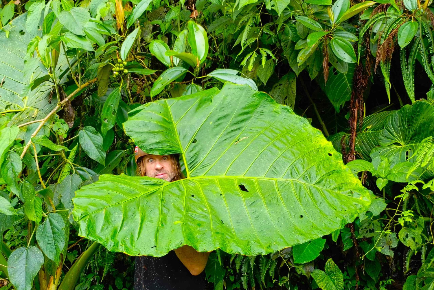 Mindo-Radtour ab Quito: Besuch des Anden-Chocó