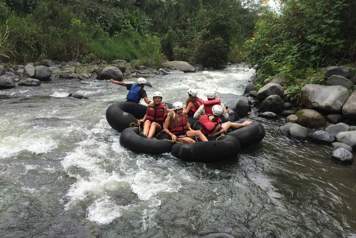 Из Кито: Однодневная экскурсия в Облачный лес Миндо с трансфером