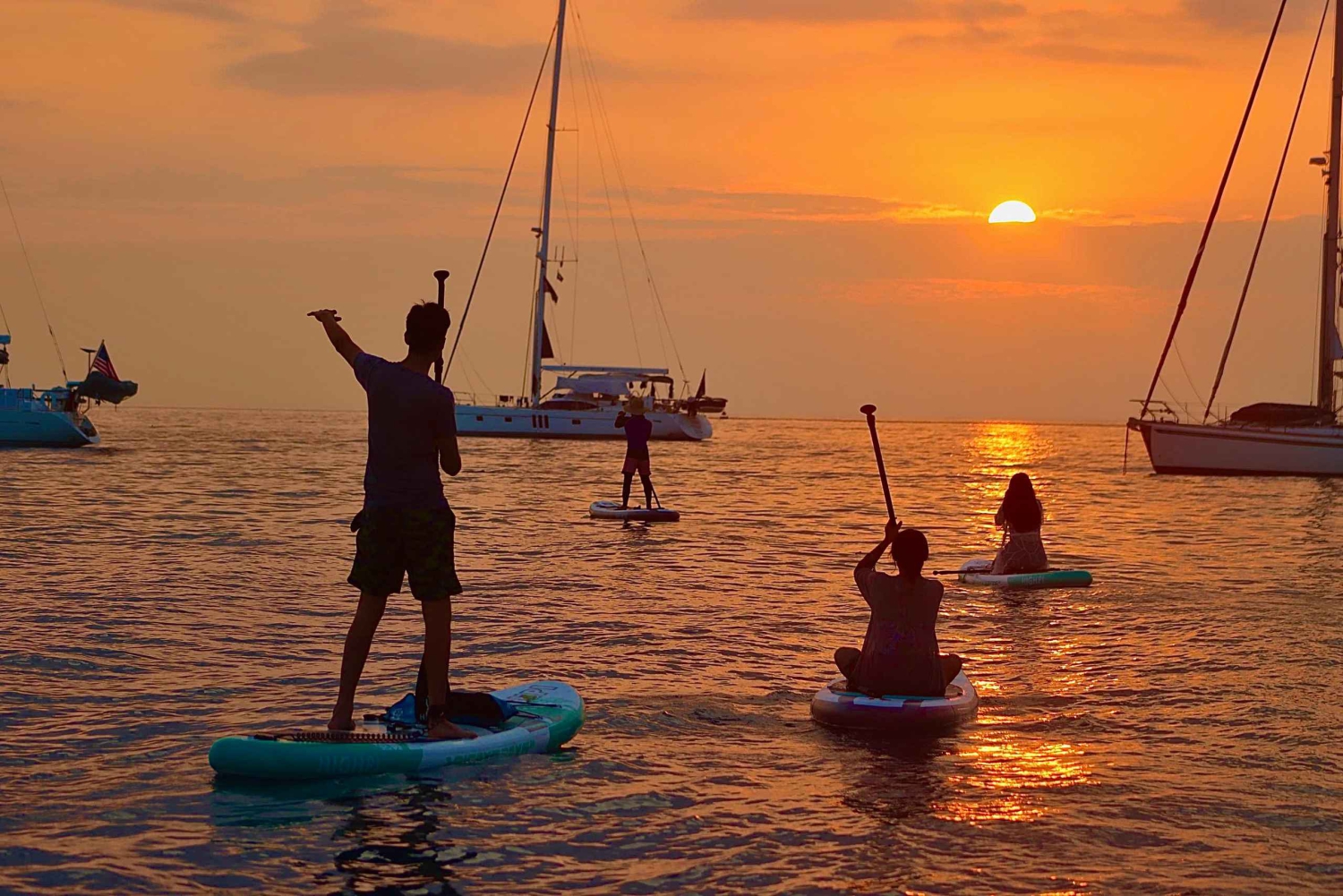 Paddleboard-eventyr med sjøløver på øya San Cristobal