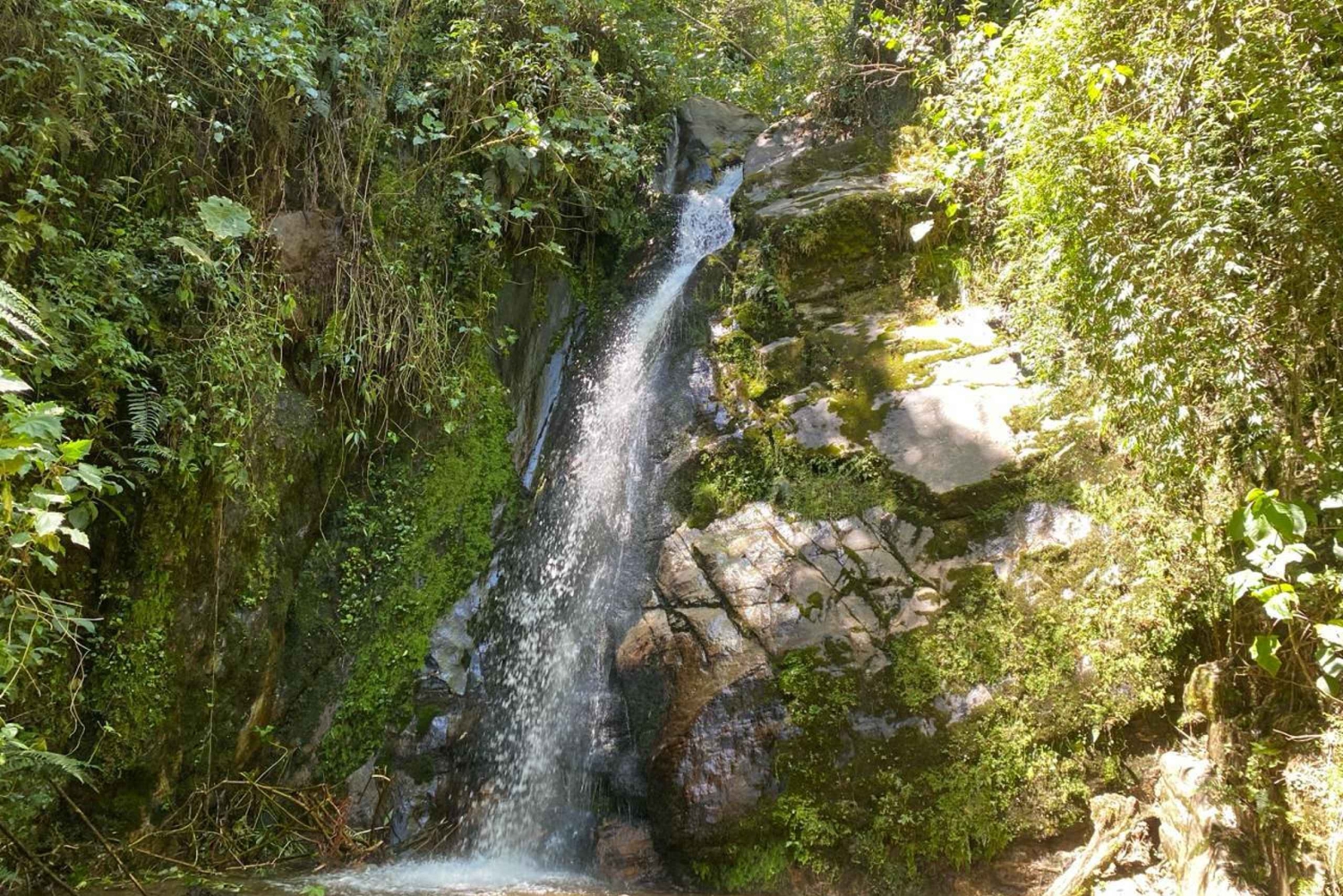 Papallacta varme kilder og trekking i Cuyuja-reservatet med transfer