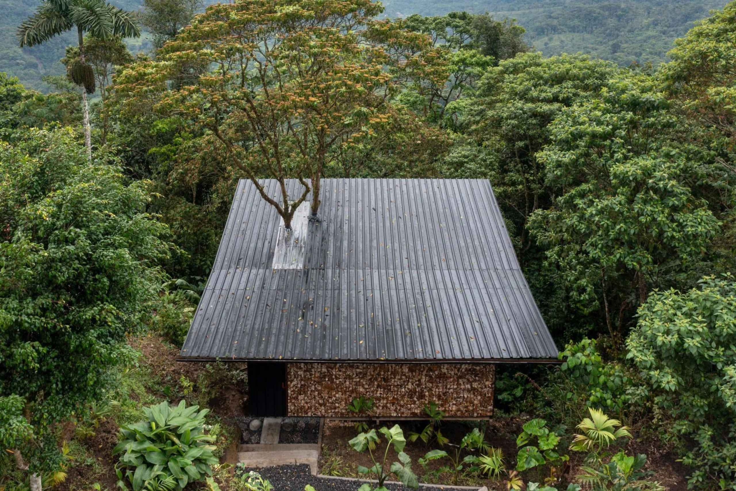 Quito: 3-dagers Amazonas-opplevelse med spa og besøk hos urbefolkningen