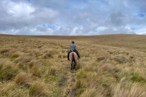 キト：コンドルマチャイの滝ハイキングとアシエンダ訪問をご案内いたします