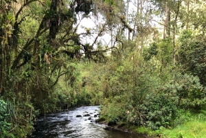 キト：コンドルマチャイの滝ハイキングとアシエンダ訪問をご案内いたします