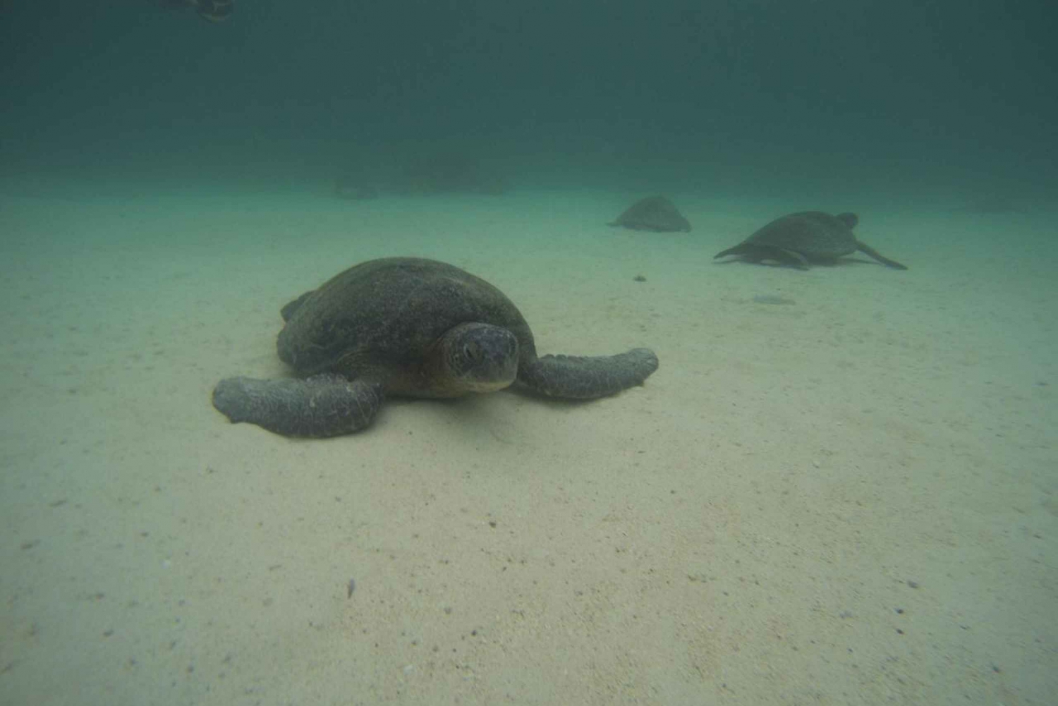 San Cristobal 360 in Galapagos full-day tour