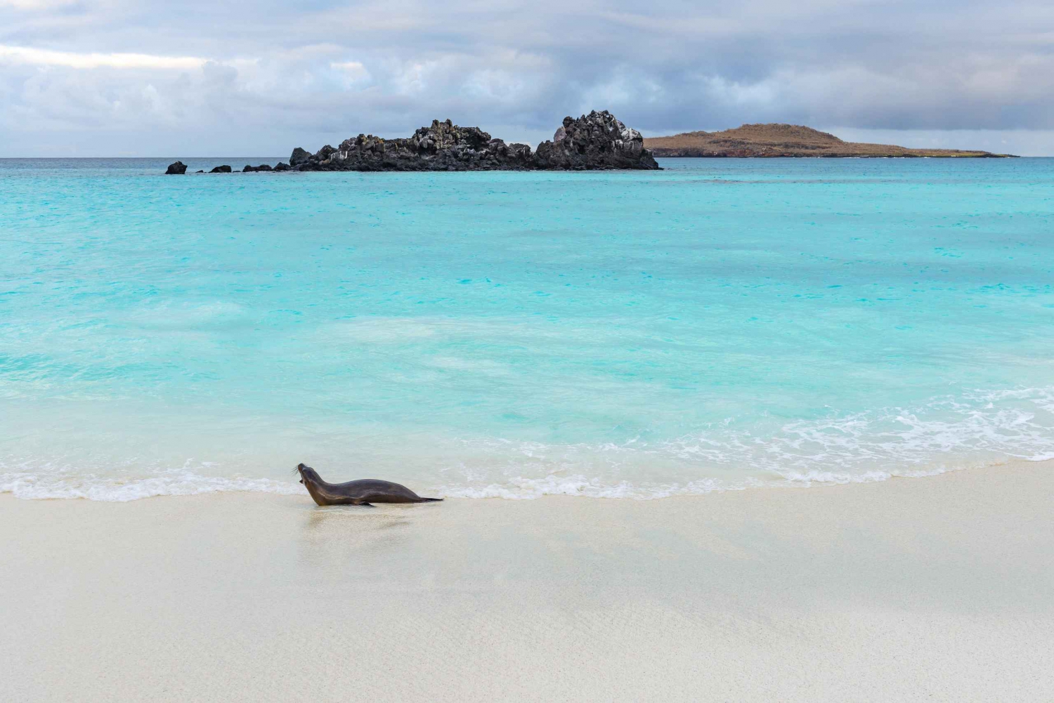 San Cristobal: 360e eilandtour met snorkelen