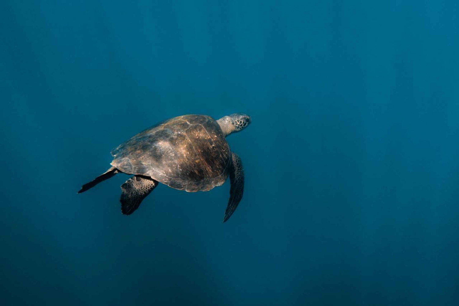 San Cristóbal: tour dell'isola a 360 gradi con snorkeling