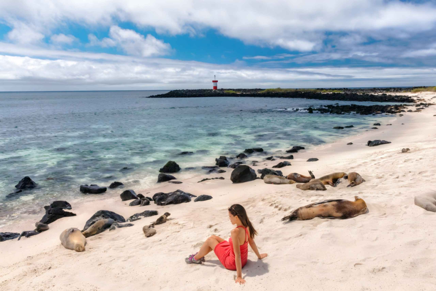 San Cristóbal: La Lobería Tour