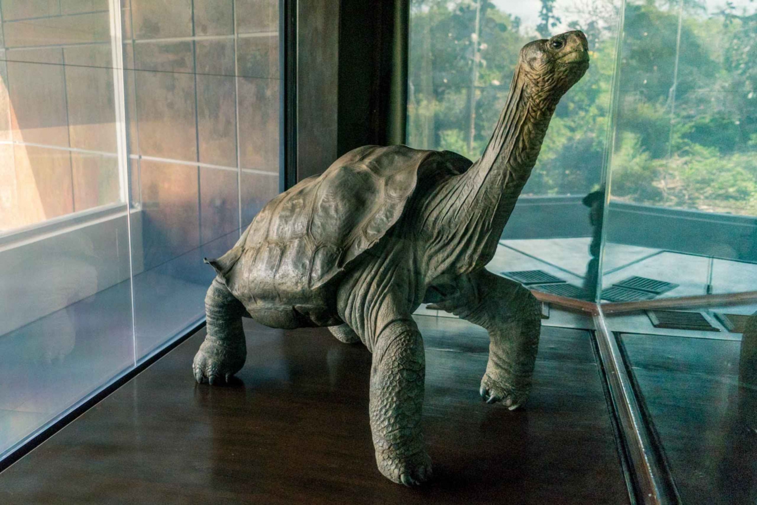 Галапагосские острова: 4-дневный тур в Санта-Крус и Баию с полным пансионом