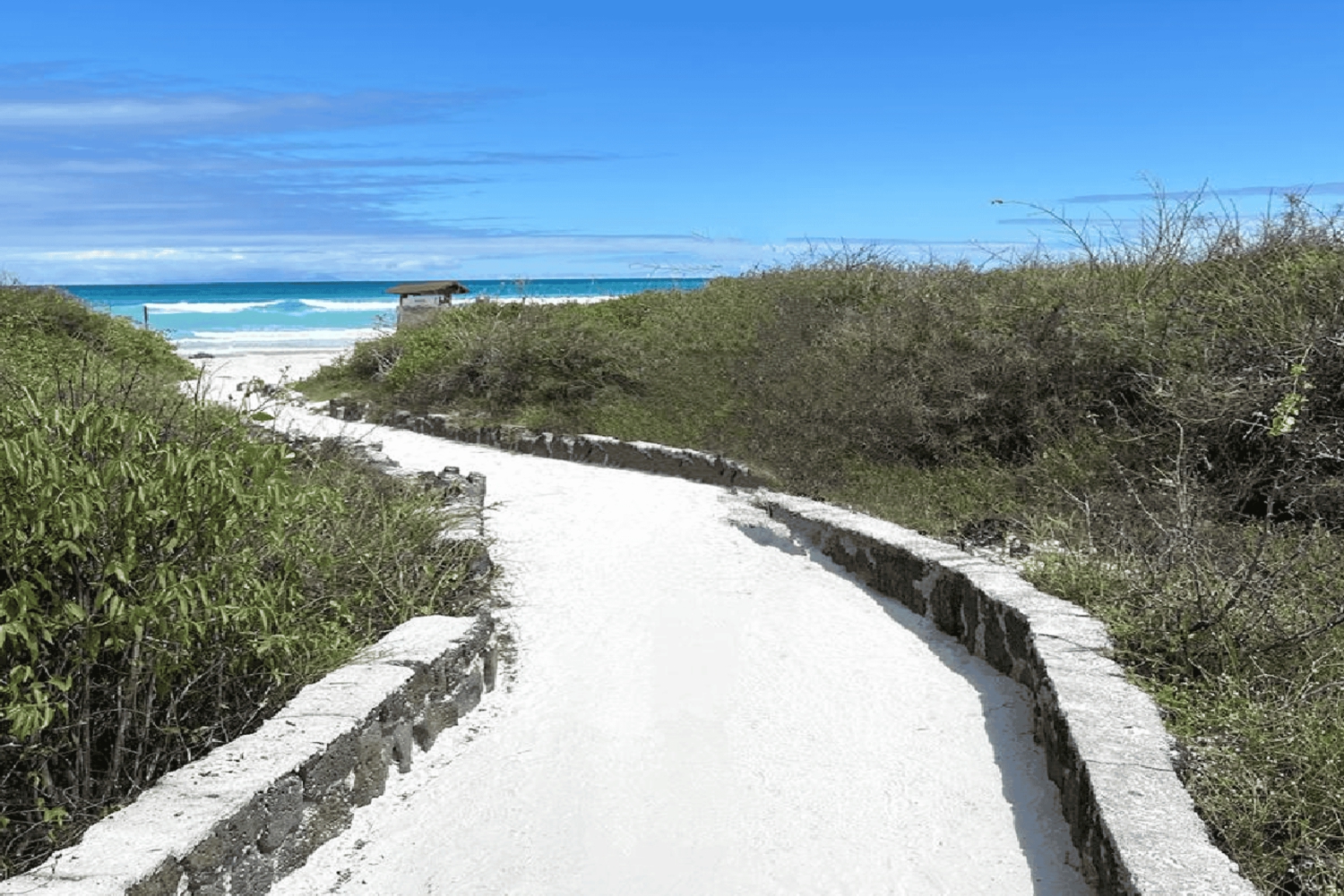 Галапагосские острова — Санта-Крус: экскурсия с гидом по заливу Тортуга