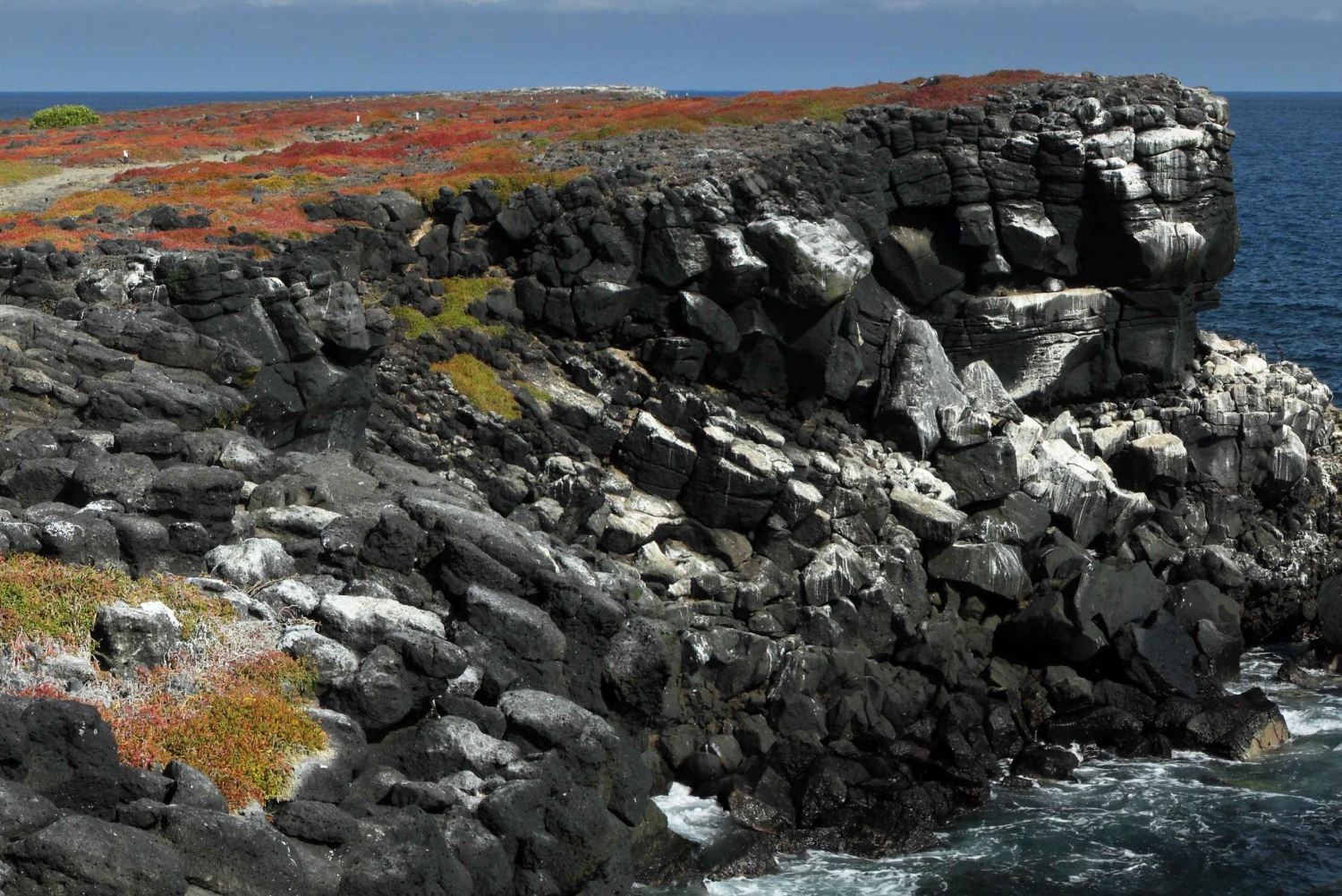 Puerto Ayora: Tagestour zu den Plazas-Südinseln und Punta Carrión
