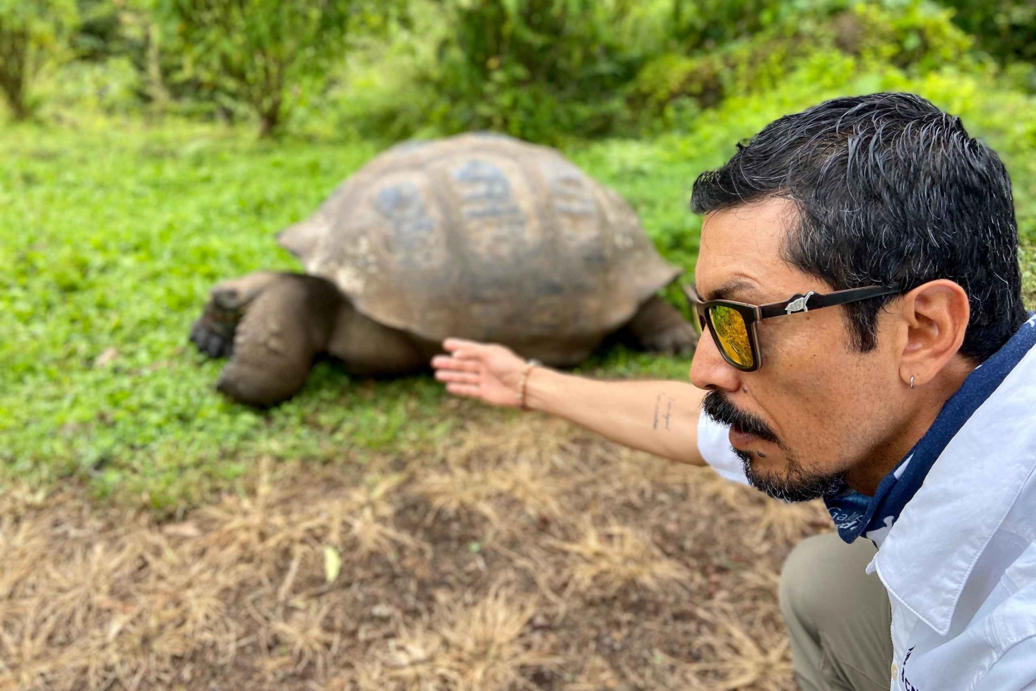 Puerto Ayora: Die Galapagos-Riesenschildkröte - ein gemeinsames Erlebnis