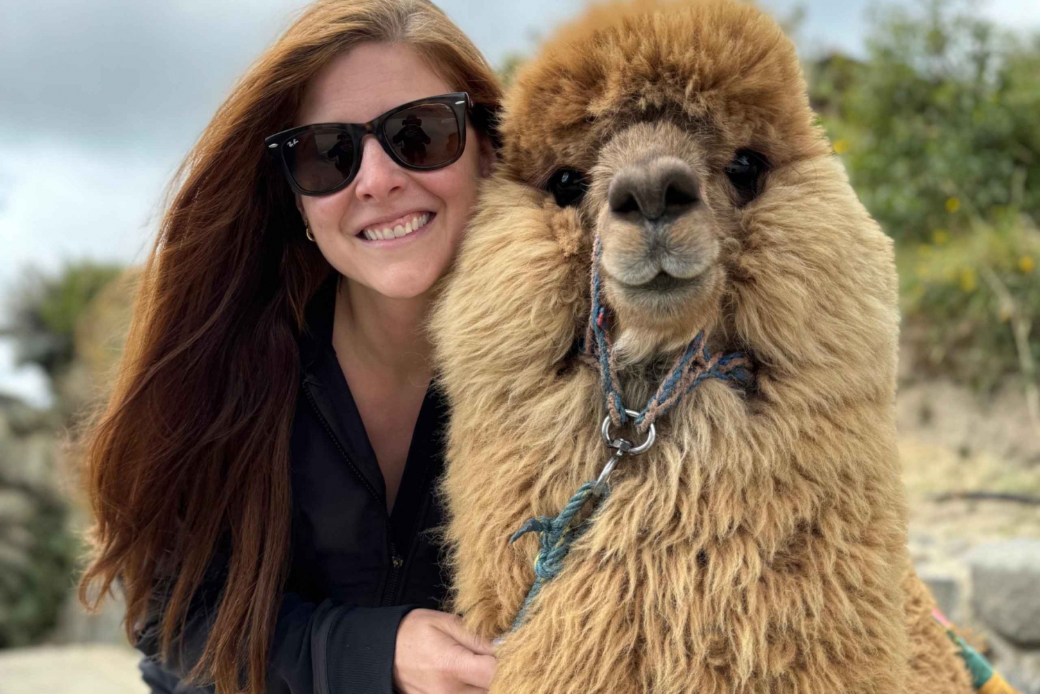 Cotopaxi & Quilotoa päiväretki Quitosta Tulivuori-Kraatterijärven rannalta