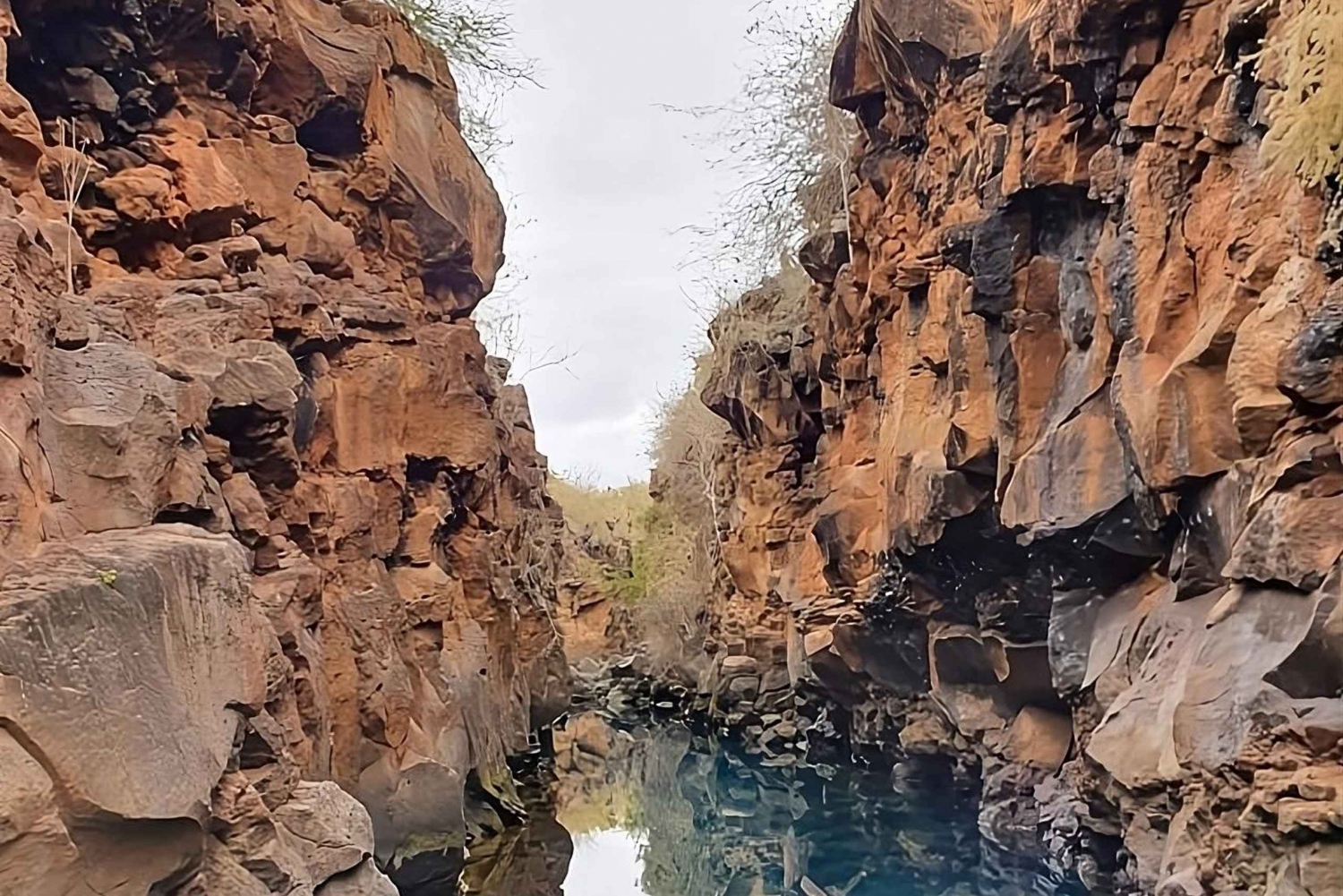 Półdniowa wycieczka po zatoce na wyspie Santa Cruz