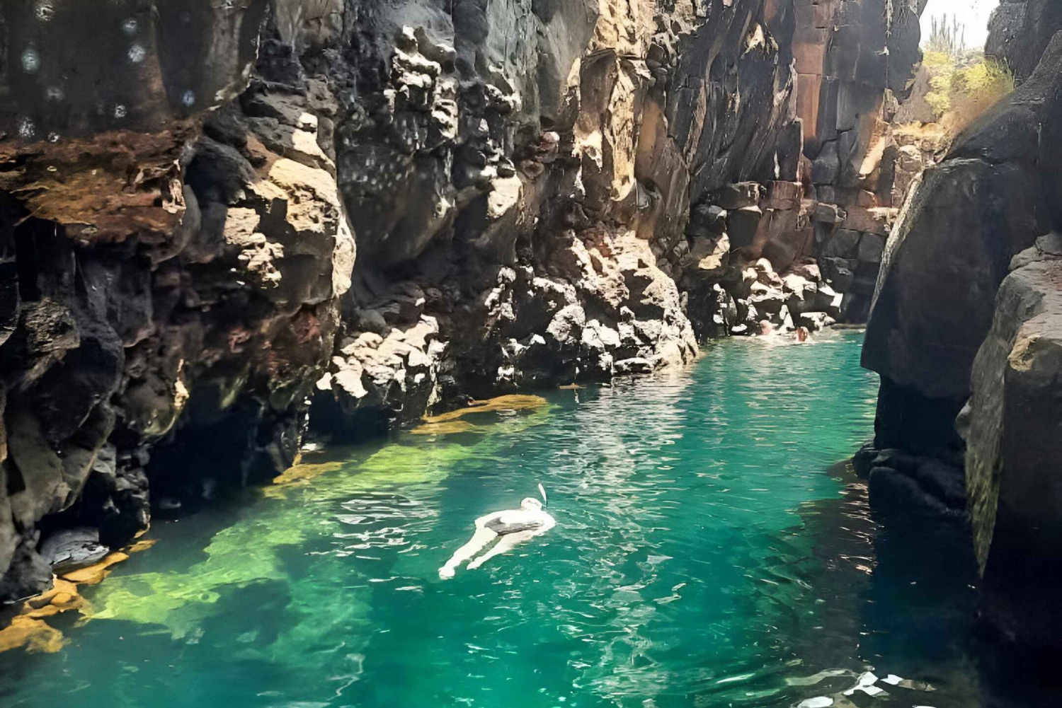 BESØG HIGHLANDS ECOLOGICAL RANCH + HALF BAY TOUR SANTA CRUZ