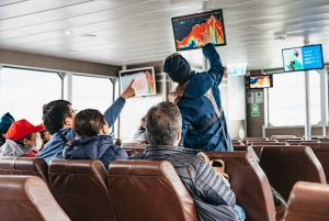 Da Edimburgo: Tour di Loch Ness e delle Highlands scozzesi