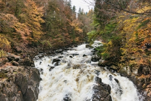 Desde Edimburgo: Excursión por las Tierras Altas de Escocia con cata de whisky