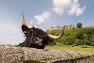 Fra Loch Lomond, Stirling Castle & Kelpies Tour