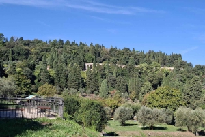 Florenz: Golfcart-Tour nach Fiesole & Michelangelo-Platz