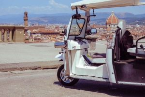 Florence Hill Golf Cart Tour: Fra San Frediano til Arcetri