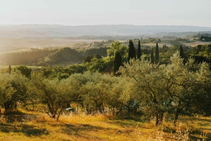 Florence Hill Golf Cart Tour: Fra San Frediano til Arcetri