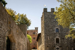 Florença: Viagem privada de um dia à adega Chianti na Toscana com almoço