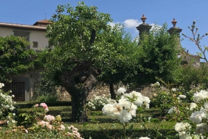 Florença: Viagem privada de um dia à adega Chianti na Toscana com almoço