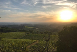 Florença: Viagem privada de um dia à adega Chianti na Toscana com almoço