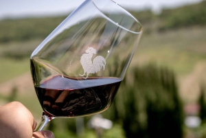 Florença: Viagem privada de um dia à adega Chianti na Toscana com almoço