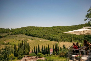Florença: Viagem privada de um dia à adega Chianti na Toscana com almoço