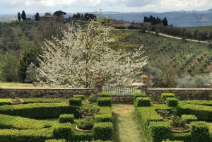 Florença: Viagem privada de um dia à adega Chianti na Toscana com almoço