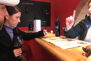 Florença: Viagem privada de um dia à adega Chianti na Toscana com almoço