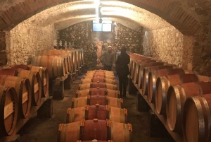Florença: Viagem privada de um dia à adega Chianti na Toscana com almoço
