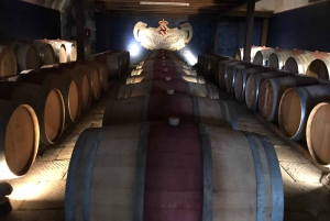 Florença: Viagem privada de um dia à adega Chianti na Toscana com almoço