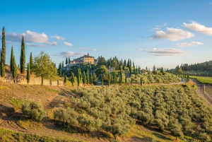 Golf Cart Tour: Express Highlights of Florence