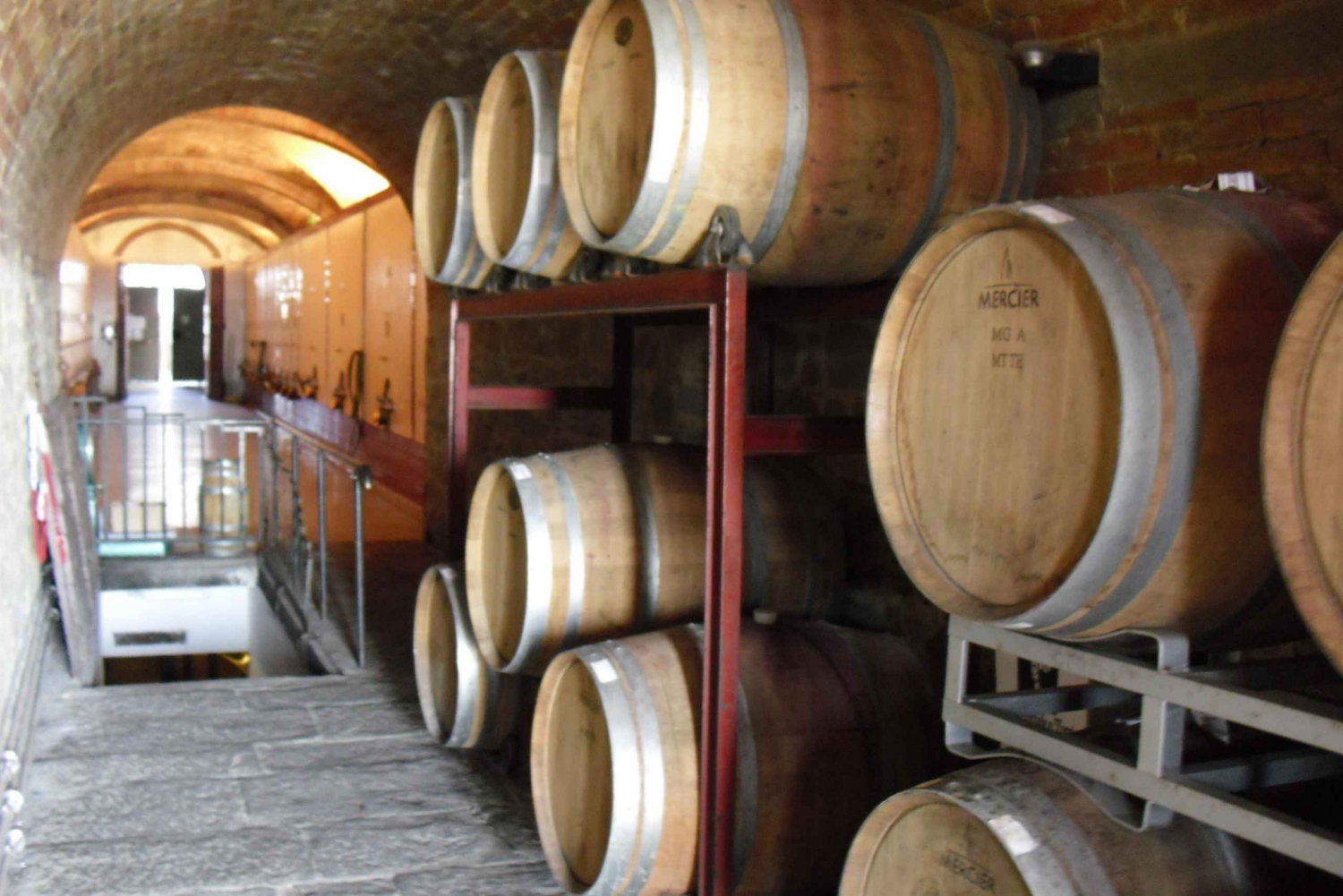 De Livorno: excursão privada a Pisa e Florença