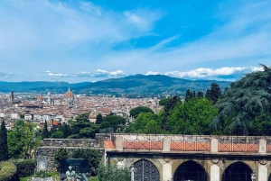 Firenze: Sähköpyöräretki Toscanan kukkuloilla ja viinimaistelu