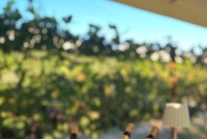 Toscana: San Gimignano og frokost og smagsprøver på en Chianti-vingård