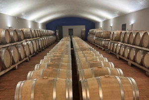 Toscana: San Gimignano og frokost og smagsprøver på en Chianti-vingård