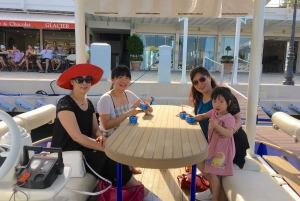 Beaulieu-sur-Mer: Private French Riviera Solar Boat Cruise