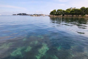 Из Кап-Ферра: премиум-круиз по Французской Ривьере с купанием