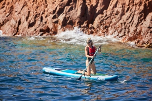 Cannes: Half-Day Catamaran Cruise