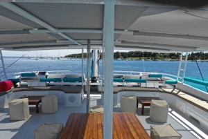 Cannes: Half-Day Catamaran Cruise