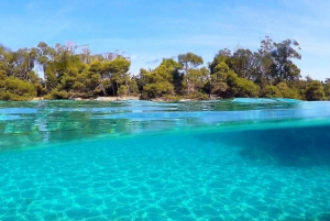 Cannes: Private Boat Trip to Lerins Islands & Cap d'Antibes