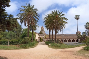 Cannes: Private Boat Trip to Lerins Islands & Cap d'Antibes