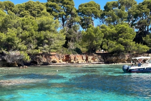 Cannes: Private Boat Trip to Lerins Islands & Cap d'Antibes