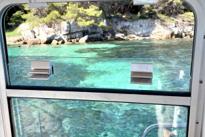 Cannes: Private Boat Trip to Lerins Islands & Cap d'Antibes