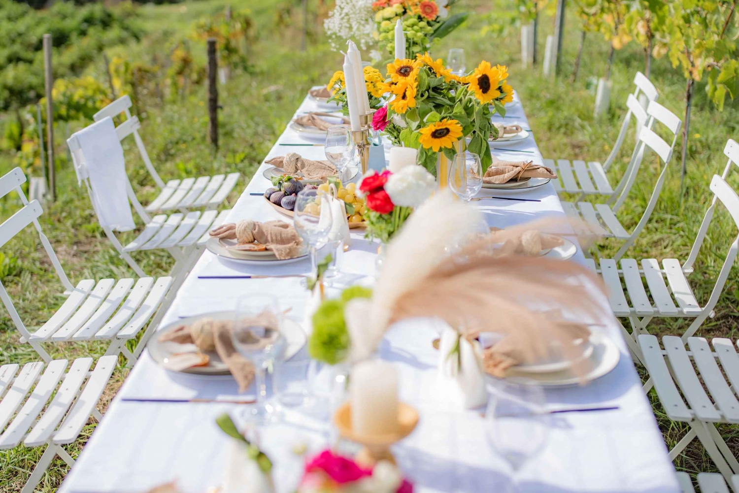 Abendessen im Weinberg an der Côte d'Azur