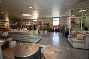 Eze, Monaco, and Monte-Carlo from Nice