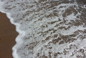 Из Канн: 8-часовая береговая экскурсия по Французской Ривьере