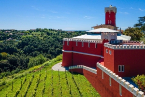 From Nice: Cannes, Saint Paul de Vence and Wine Tasting